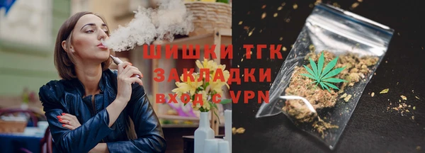 гашик Белокуриха