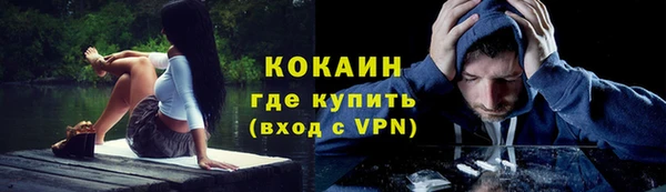 шишки Богородск