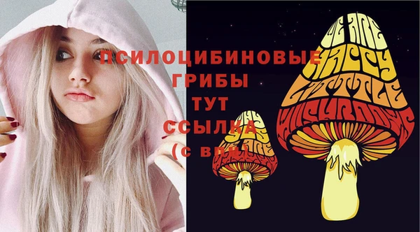 стафф Богданович