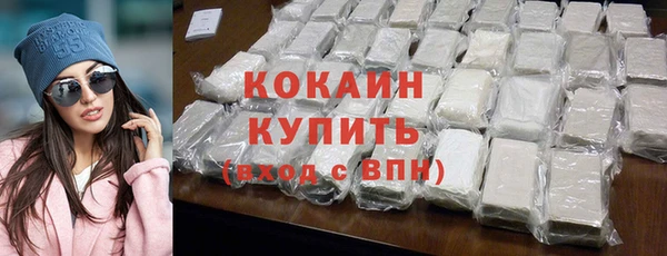 шишки Богородск