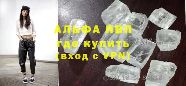 стафф Богданович